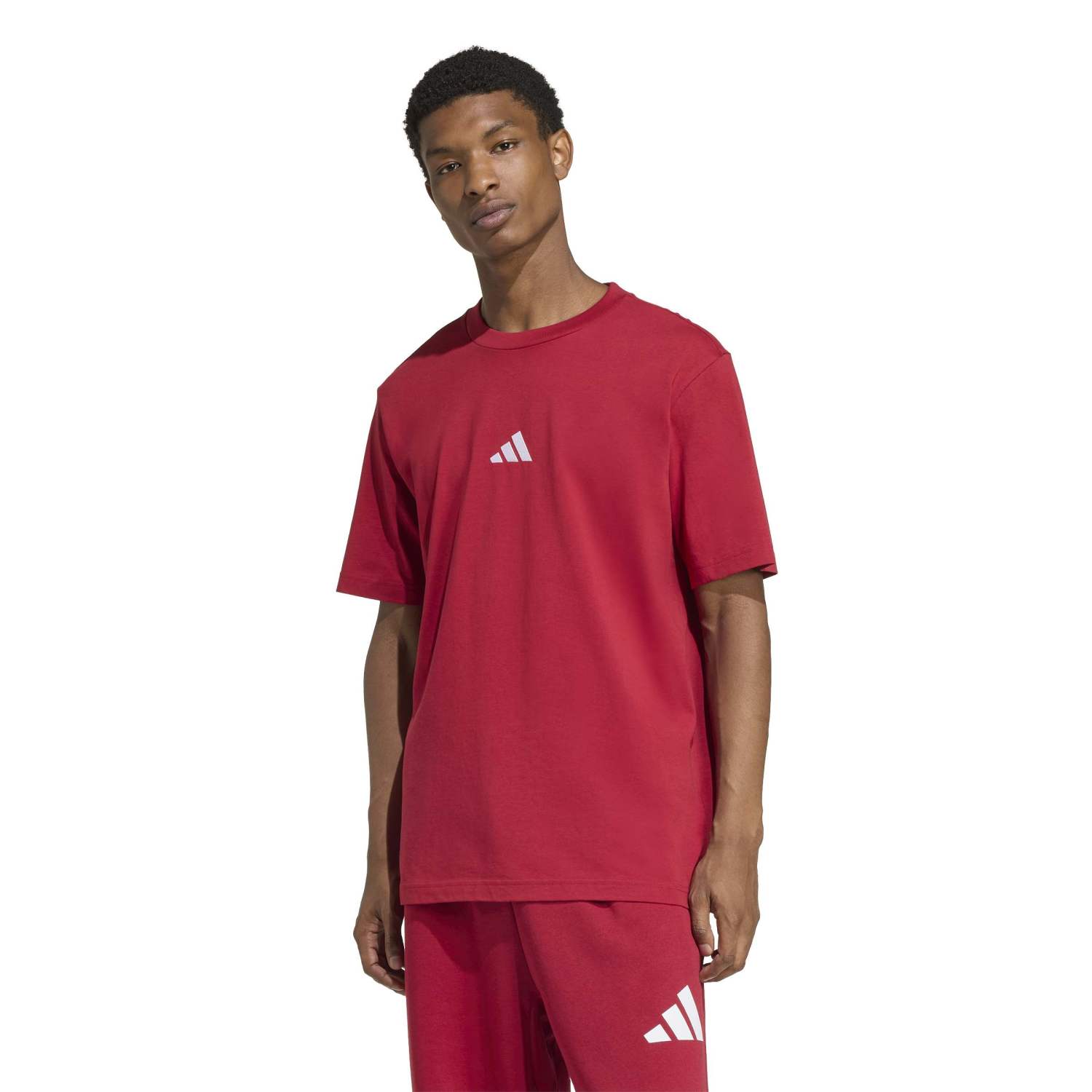 Small Logo BOS Tee -Mens