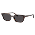 Ray-Ban Zaya RB4456 1359/87 50 Sunglasses