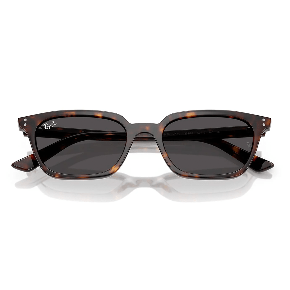 Ray-Ban Zaya RB4456 1359/87 53 Sunglasses